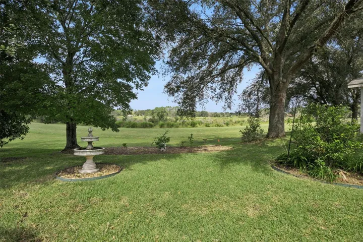 Backyard view