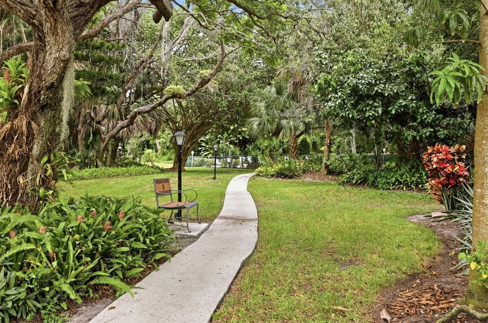 Walking Path behind Condo