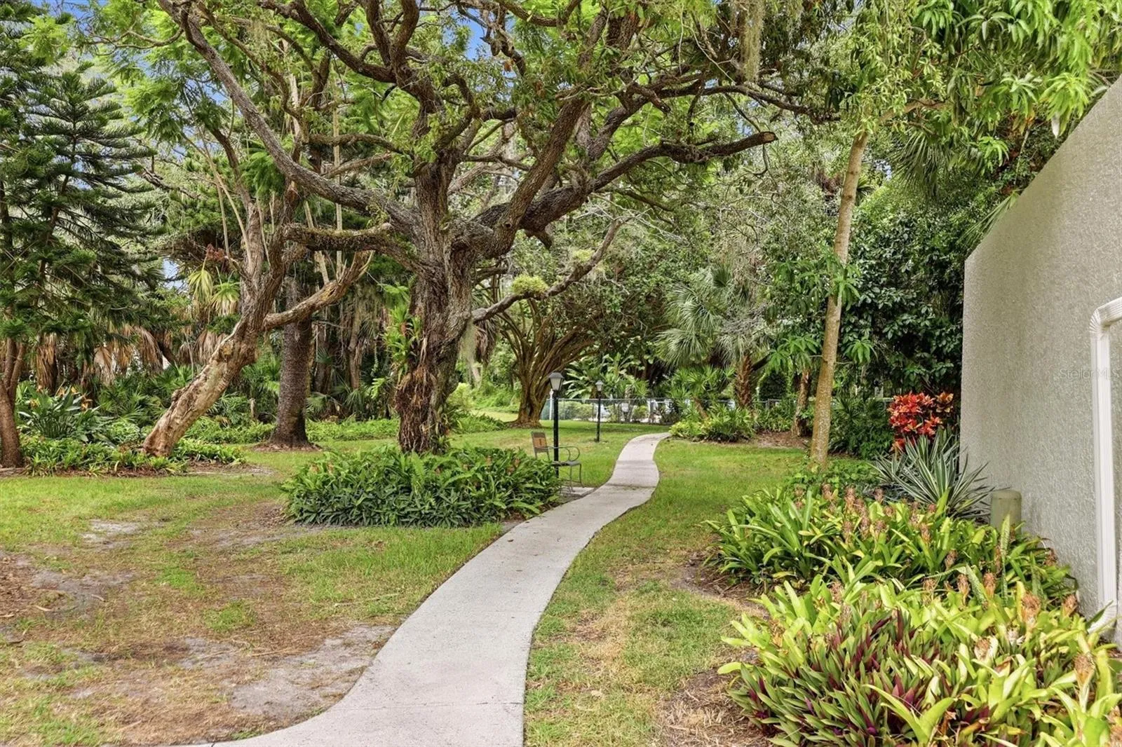 Walking Path behind Condo