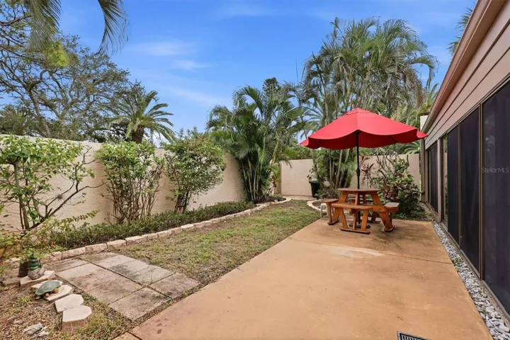 Enclosed Back Yard