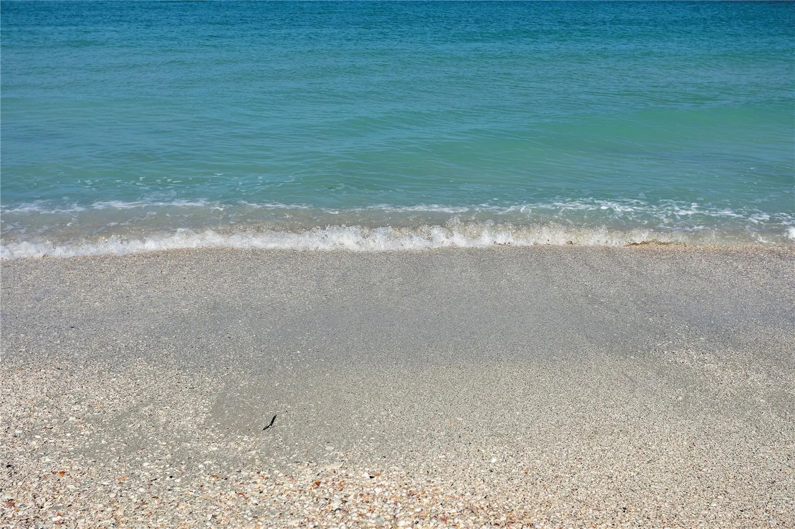 Only a short walk or bike ride to the beach!