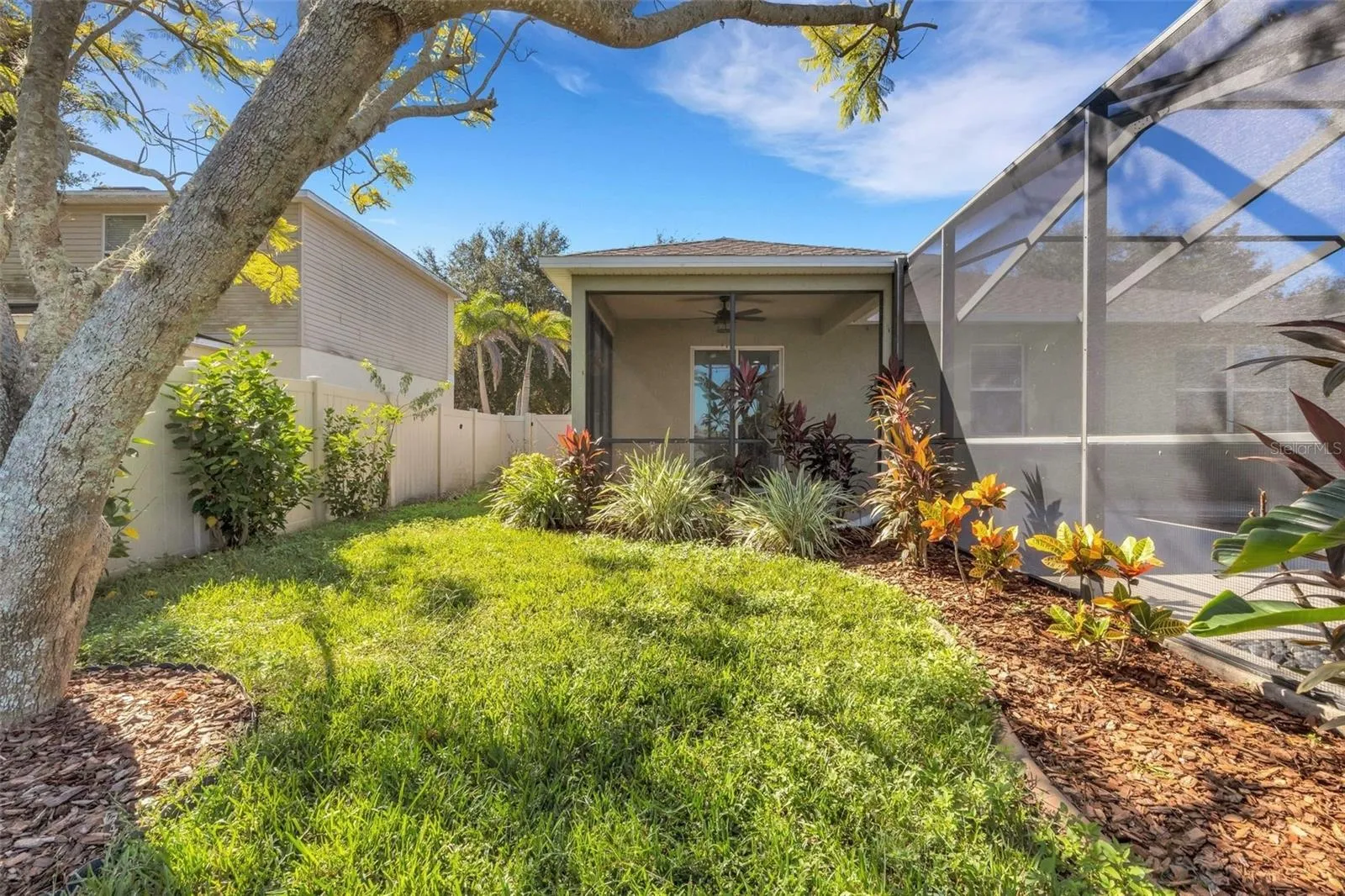 Backyard Along Side of Pool & Pool Cage