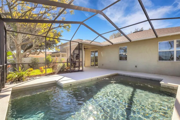 Pool & Pool Cage