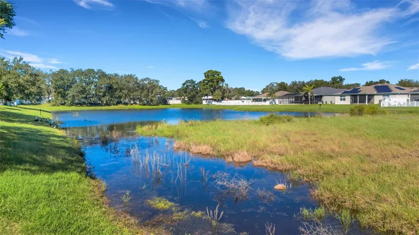 Scenic Wetlands Easement
