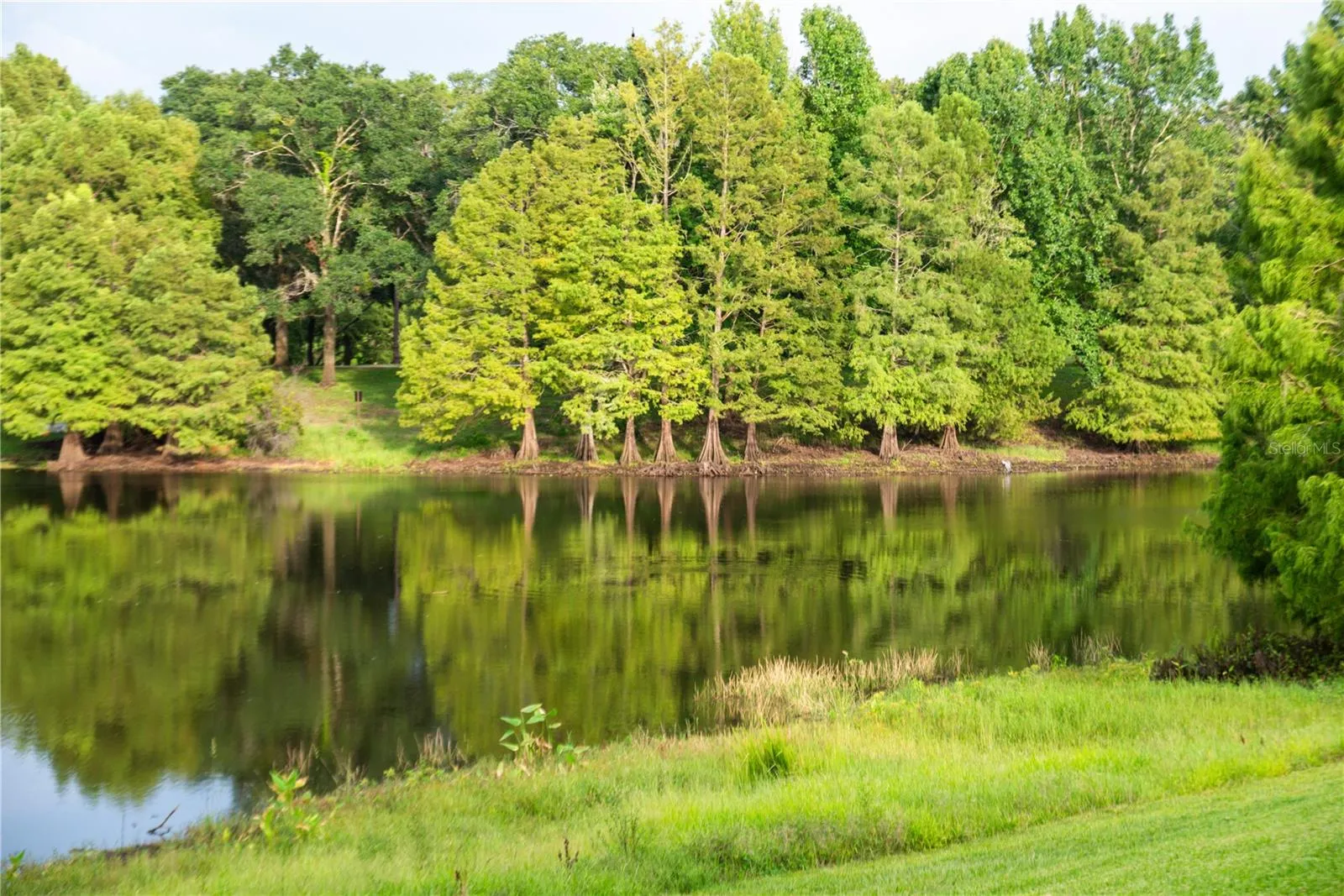 Greenwood Urban Wetlands