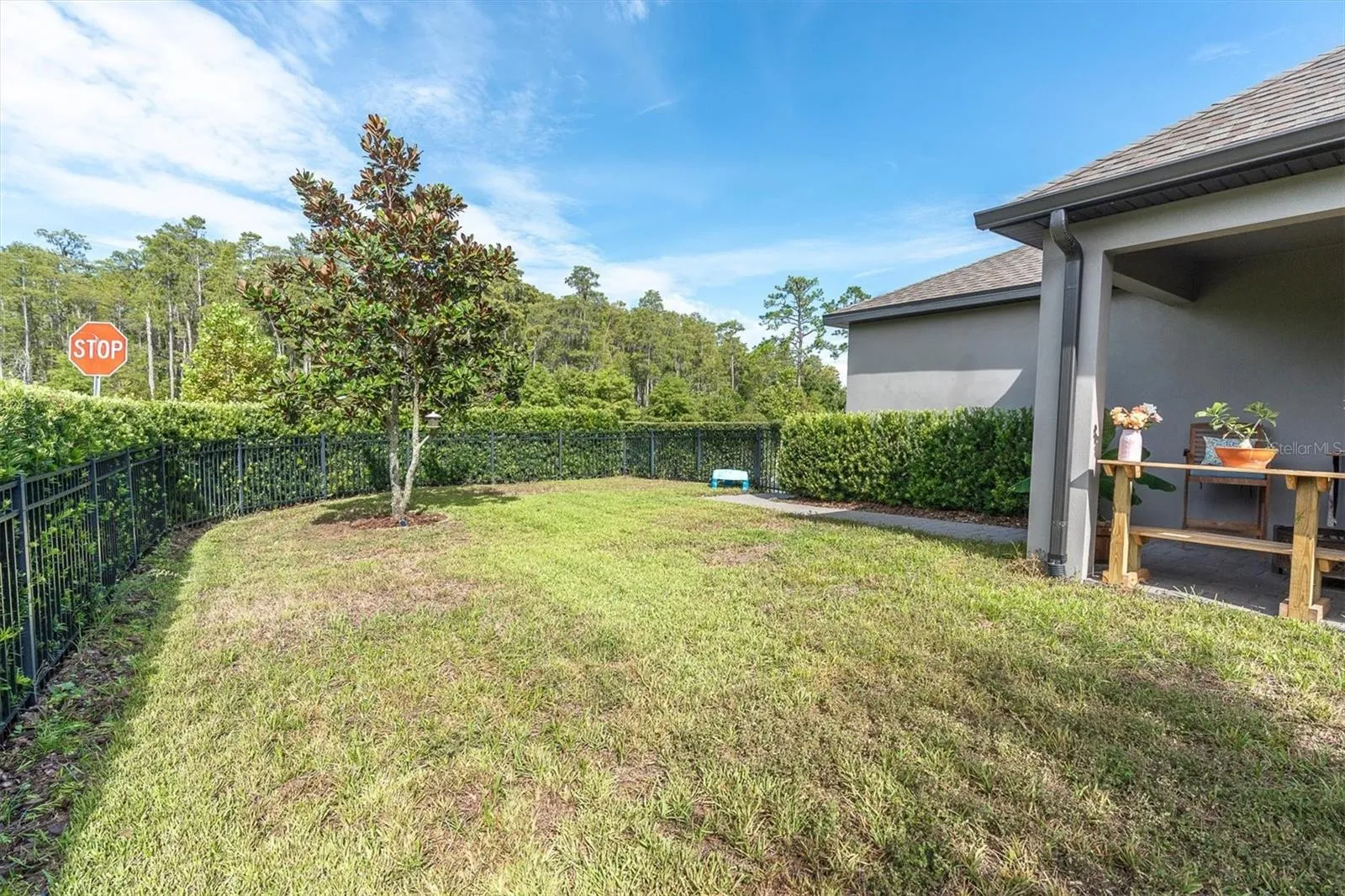 Fenced in backyard