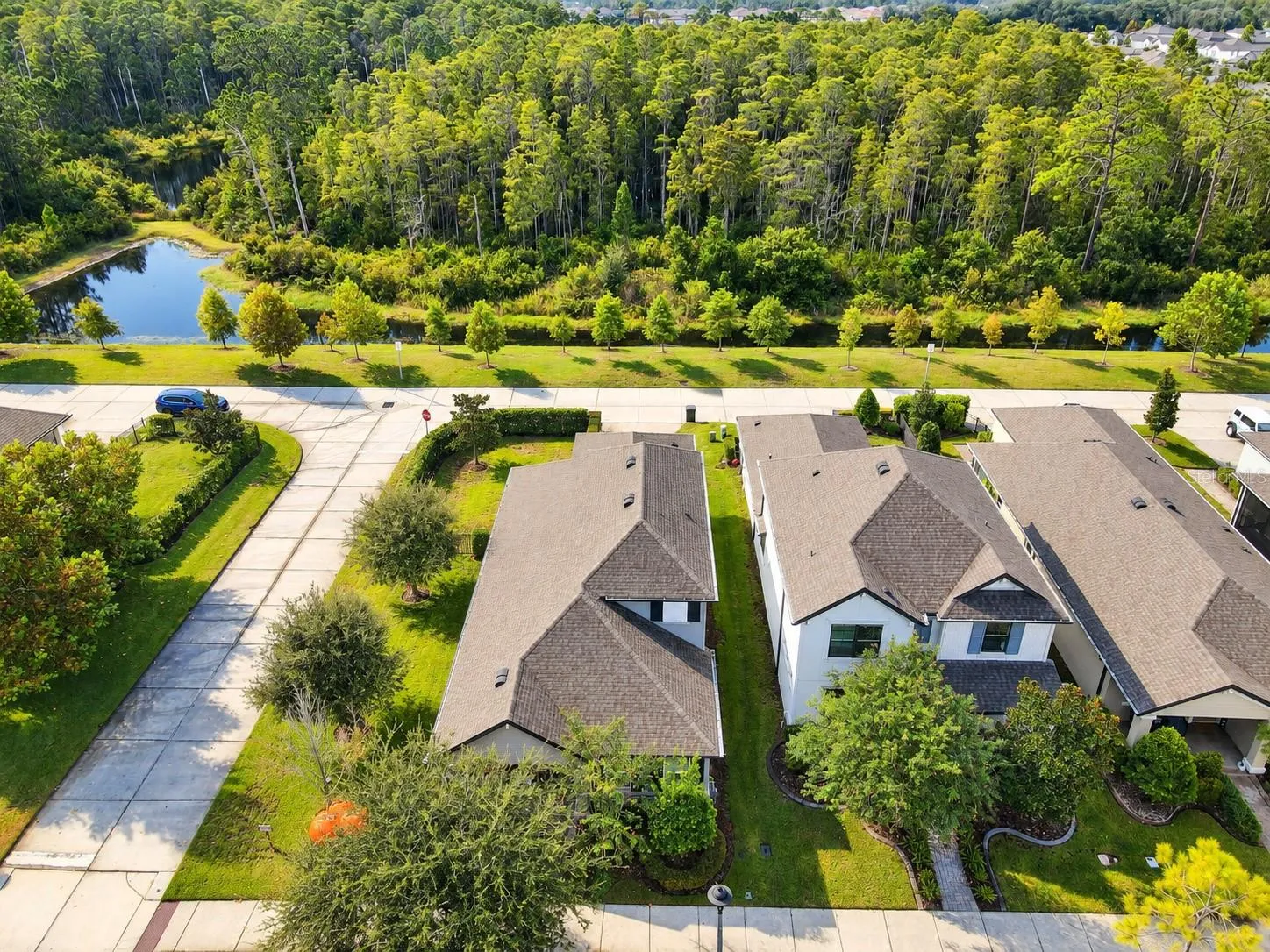 Corner lot, oversized lot, conservation and pond view