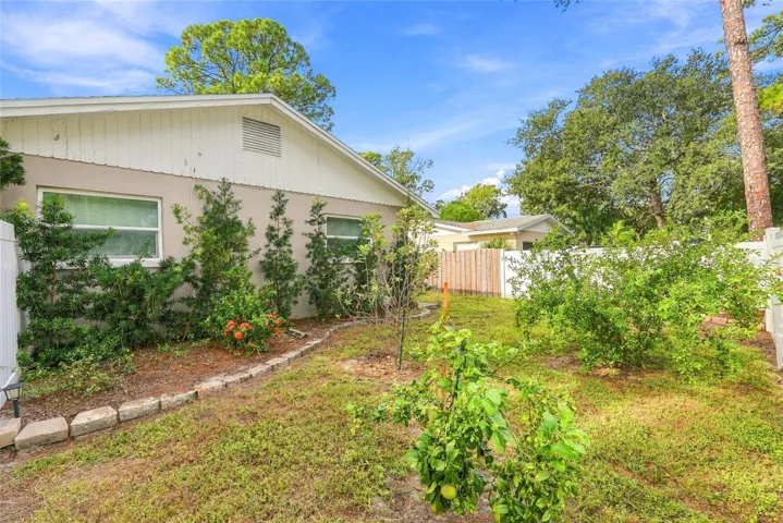 Fully Fenced Backyard