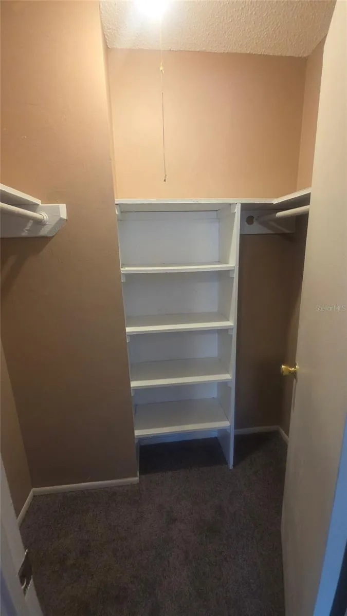 Walk in closet that is on the left inside the master