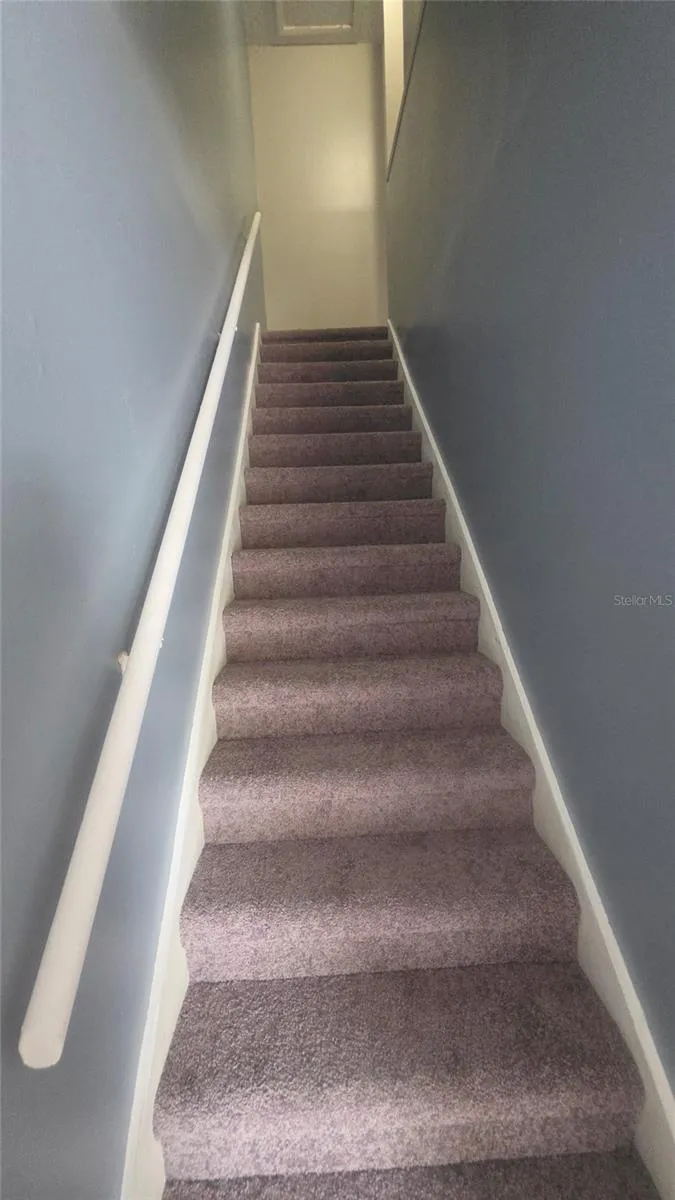 New carpet