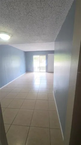 View from Kitchen door dining/living area
