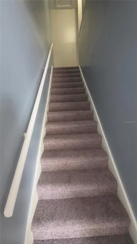 New carpet