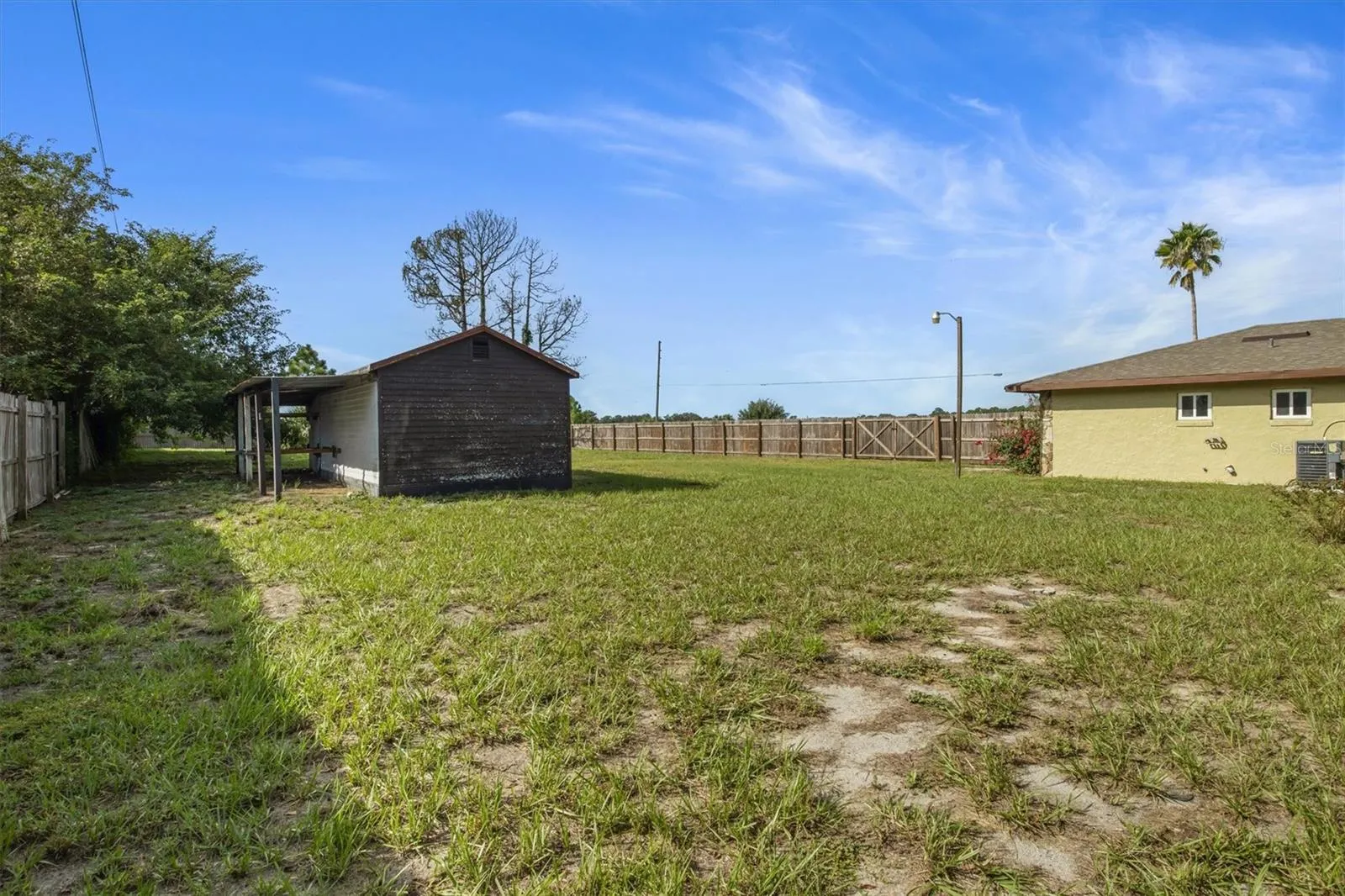 Backyard/Shed