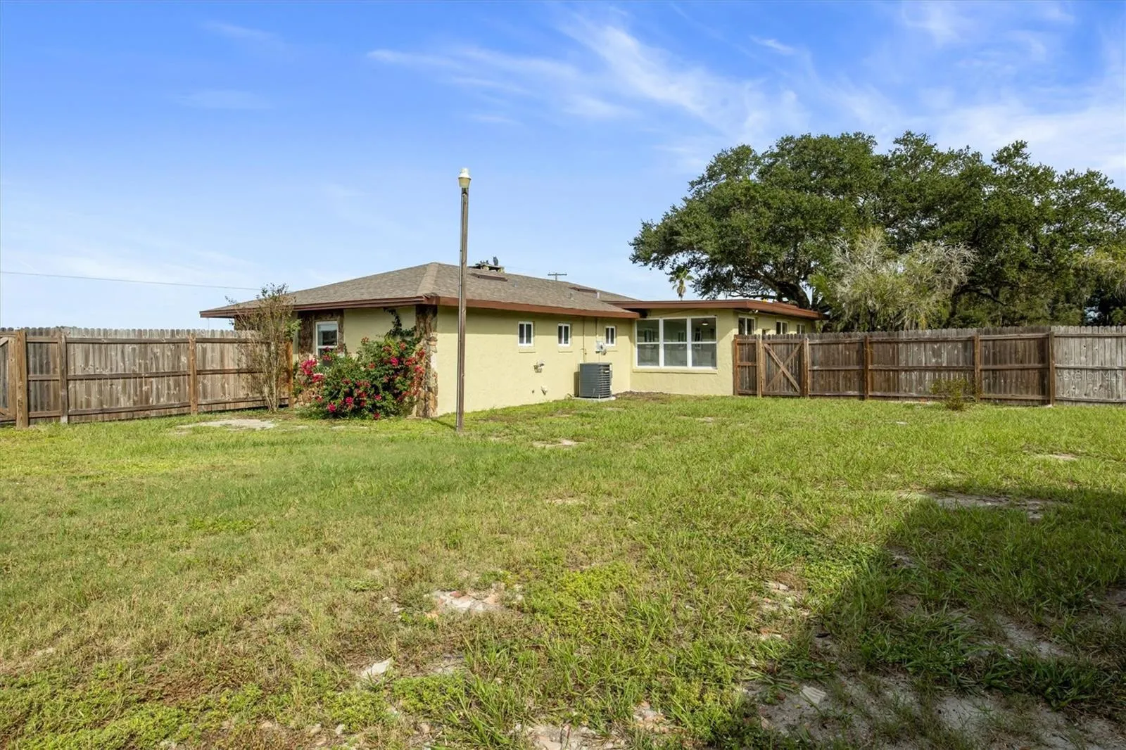 Backyard - 1 Acre Lot