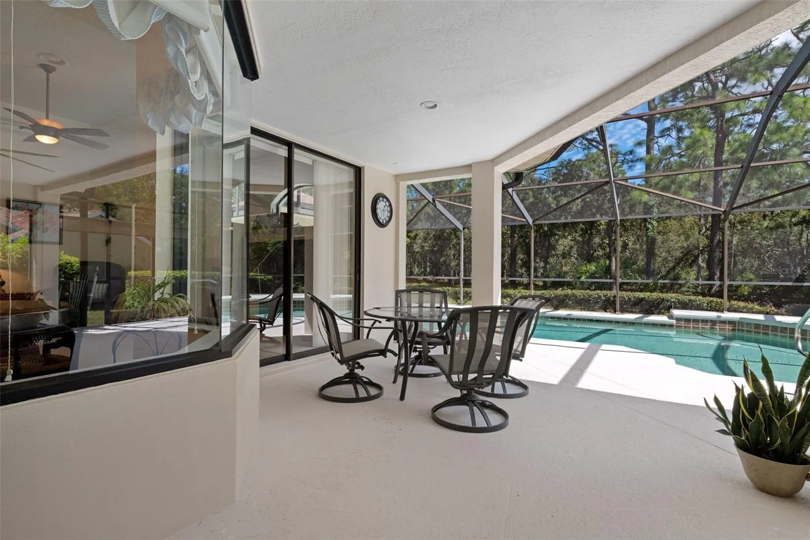 Lanai / Pool