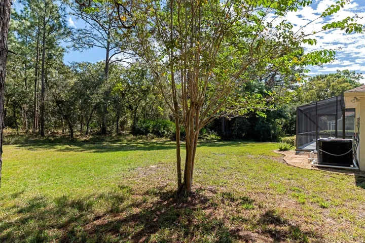 Back yard / back of home