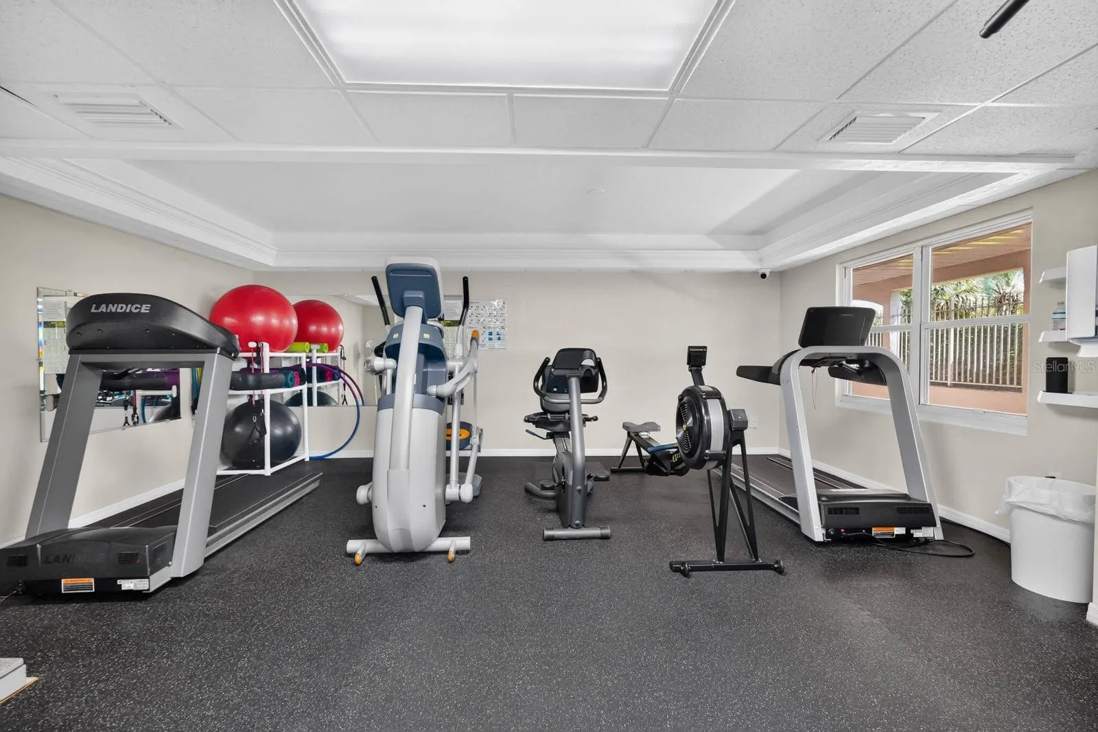 GYM