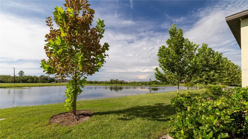 Serene Pond View