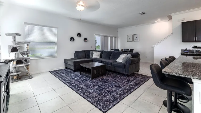 Living Room Area