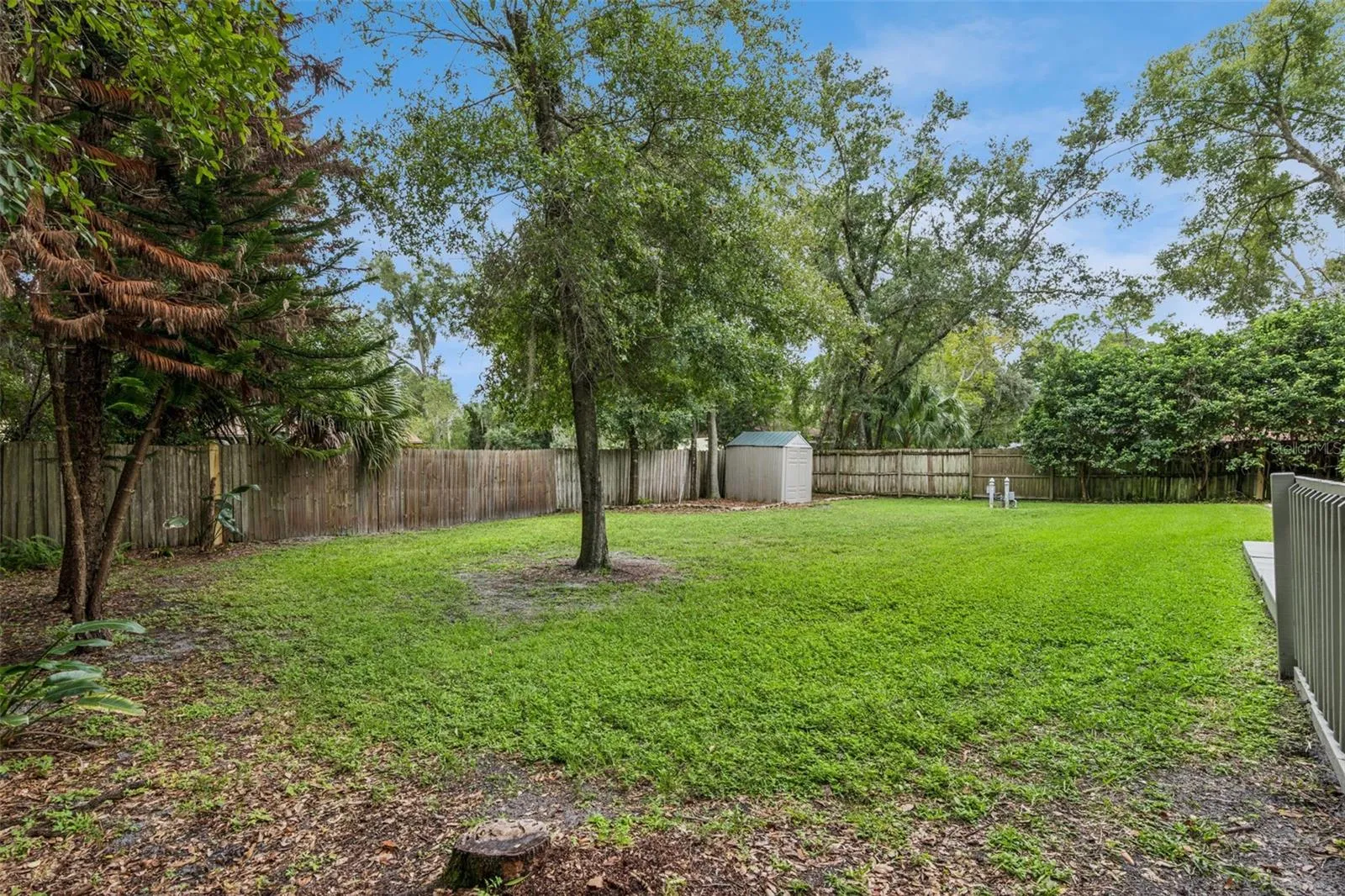 Back Yard