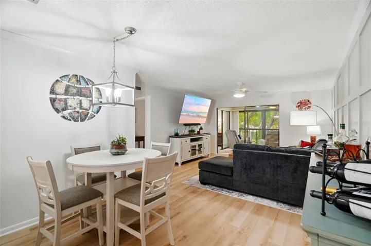 Dining/Living Area