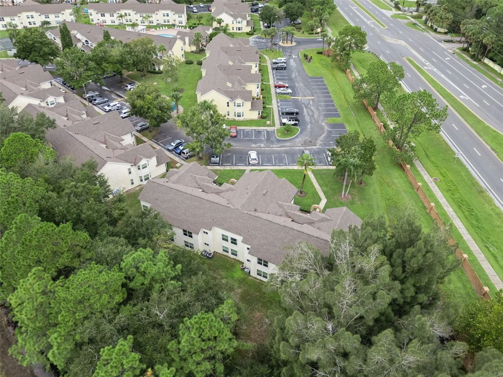 Rear Exterior Aerial: Overhead aerial perspective of the building's rear, showing rooflines, bordering pine tree conservation area, and neighborhood surroundings