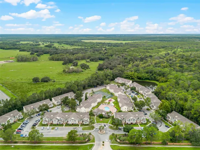 Wide Regional Aerial View: Panoramic high-altitude aerial perspective displaying the entire community layout, lush conservation borders, retention pond, and scenic green horizon.