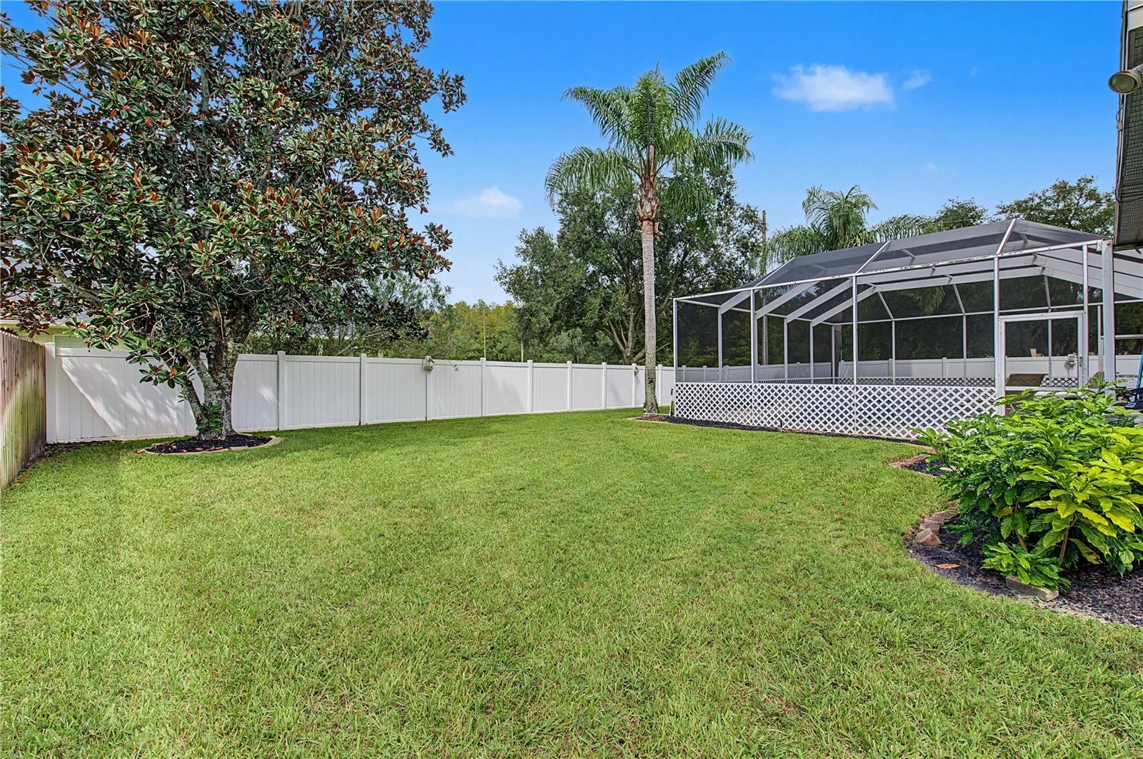 Private and Spacious backyard, fully fenced