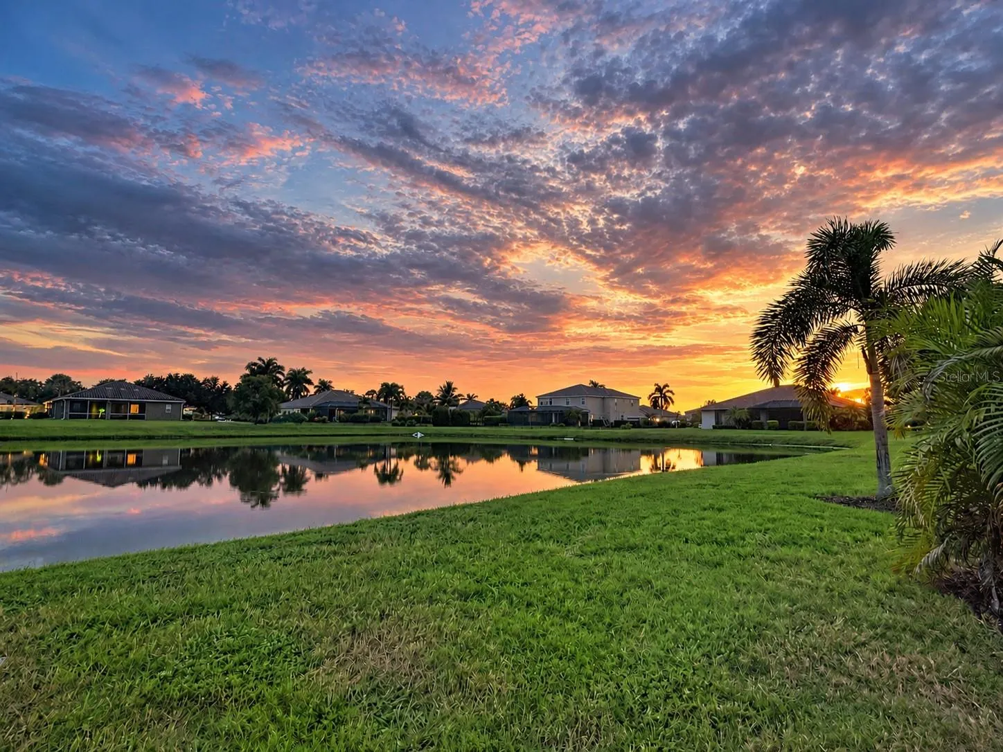 View from The Back Yard