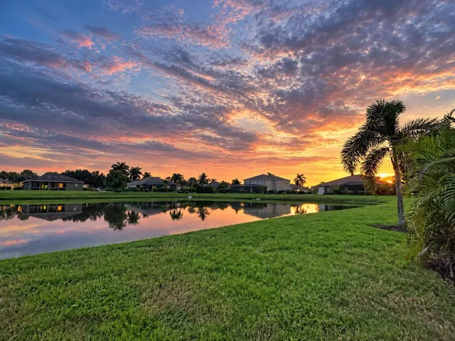 View from The Back Yard
