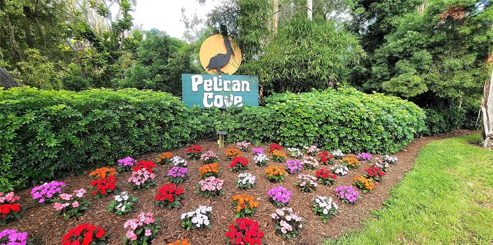 Pelican Cove Amenities