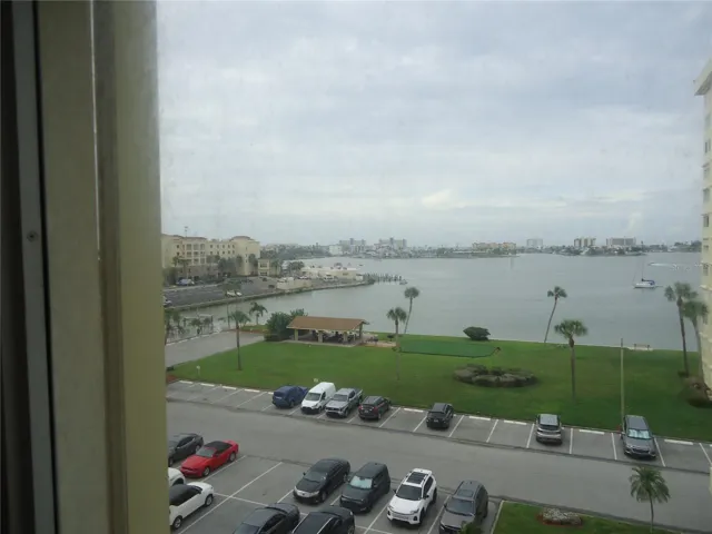 THE VIEW