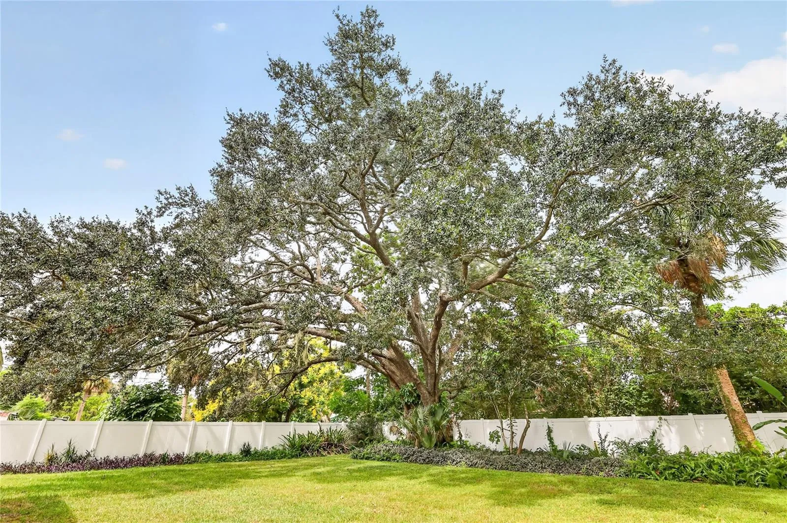 Beautifull Rear yard/ Mature Oak trees