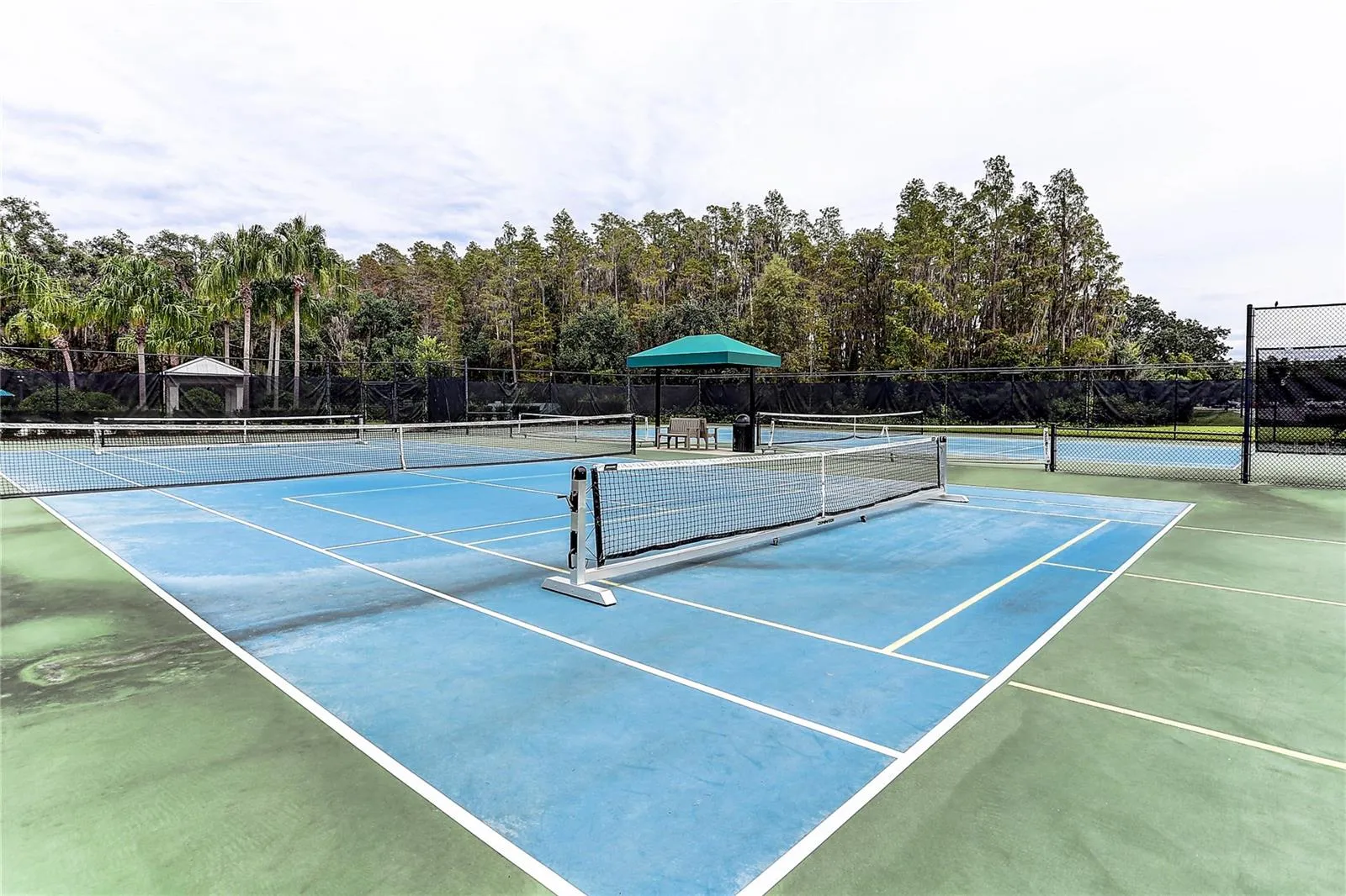 Tennis and Pickleball