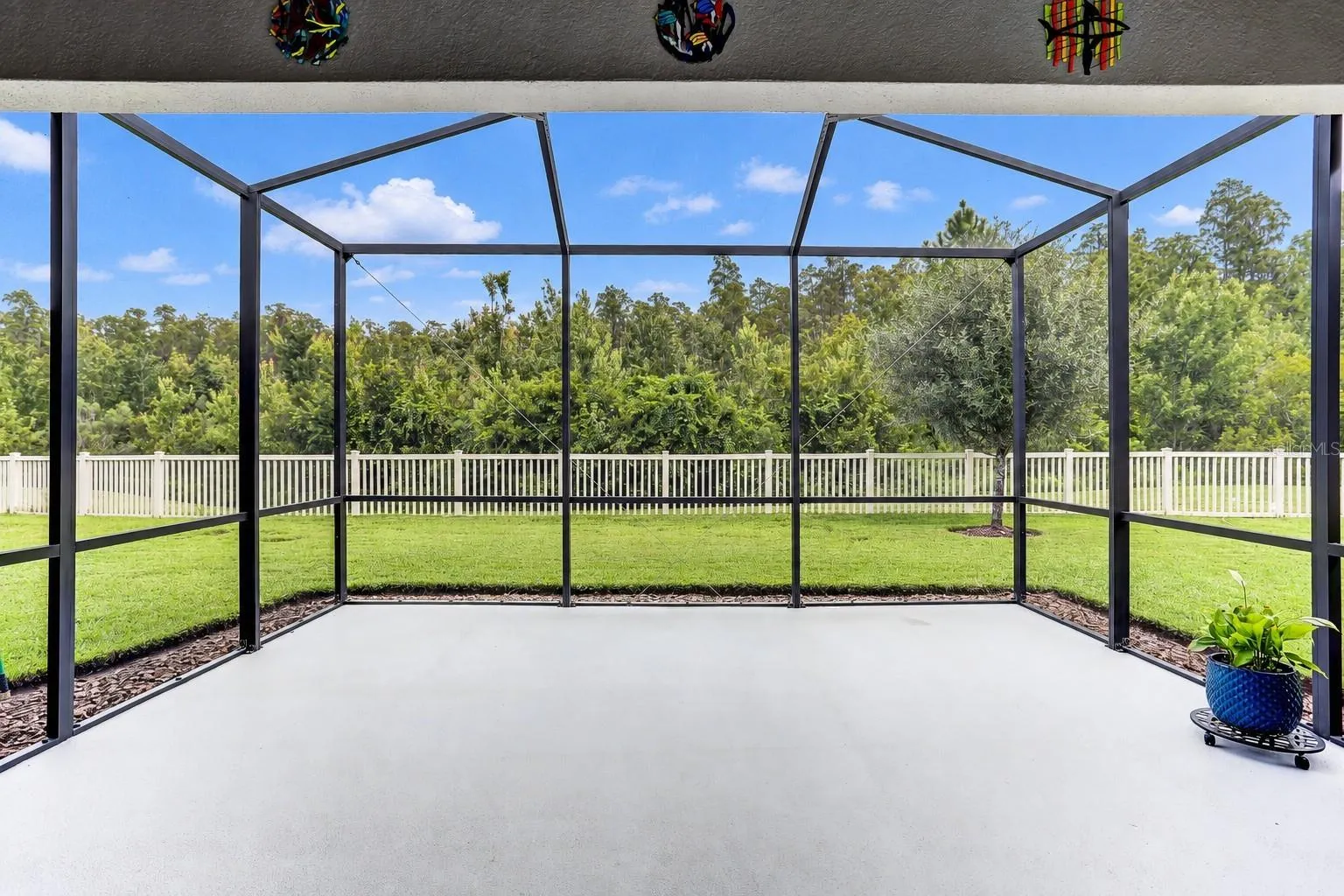 Screened Lanai and Backyard