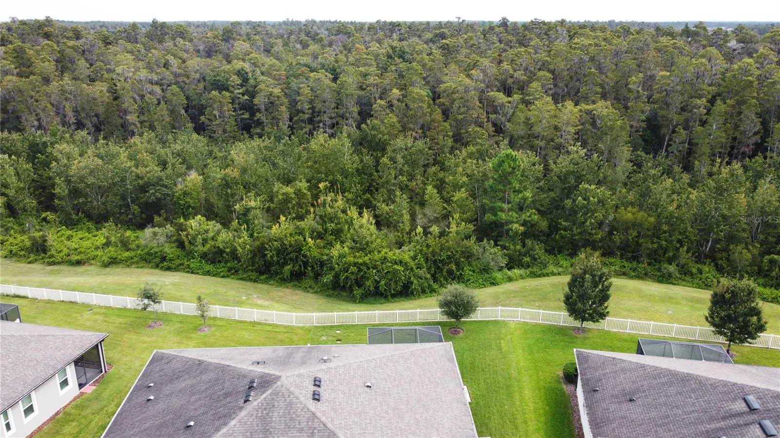 Backyard View