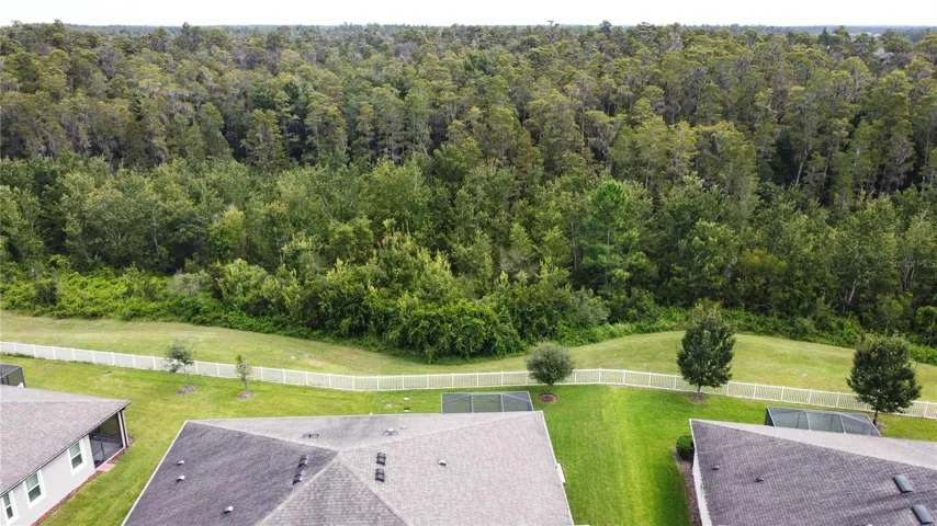 Backyard View