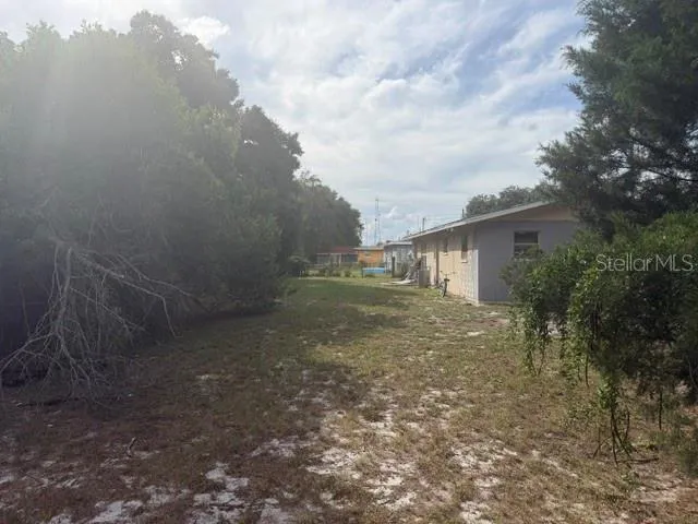 Backyard