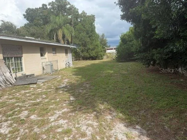 Backyard 2