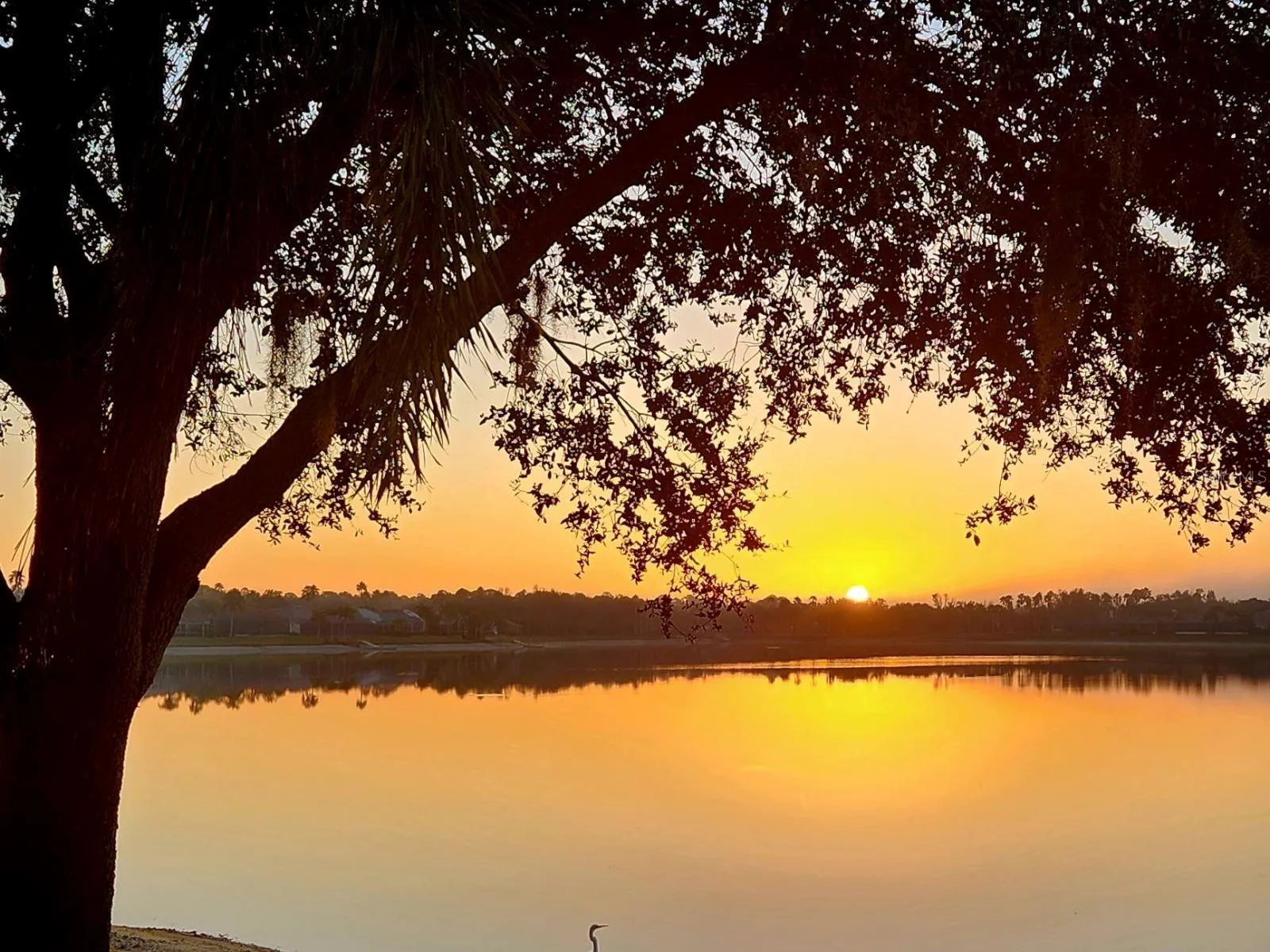 Magical Views