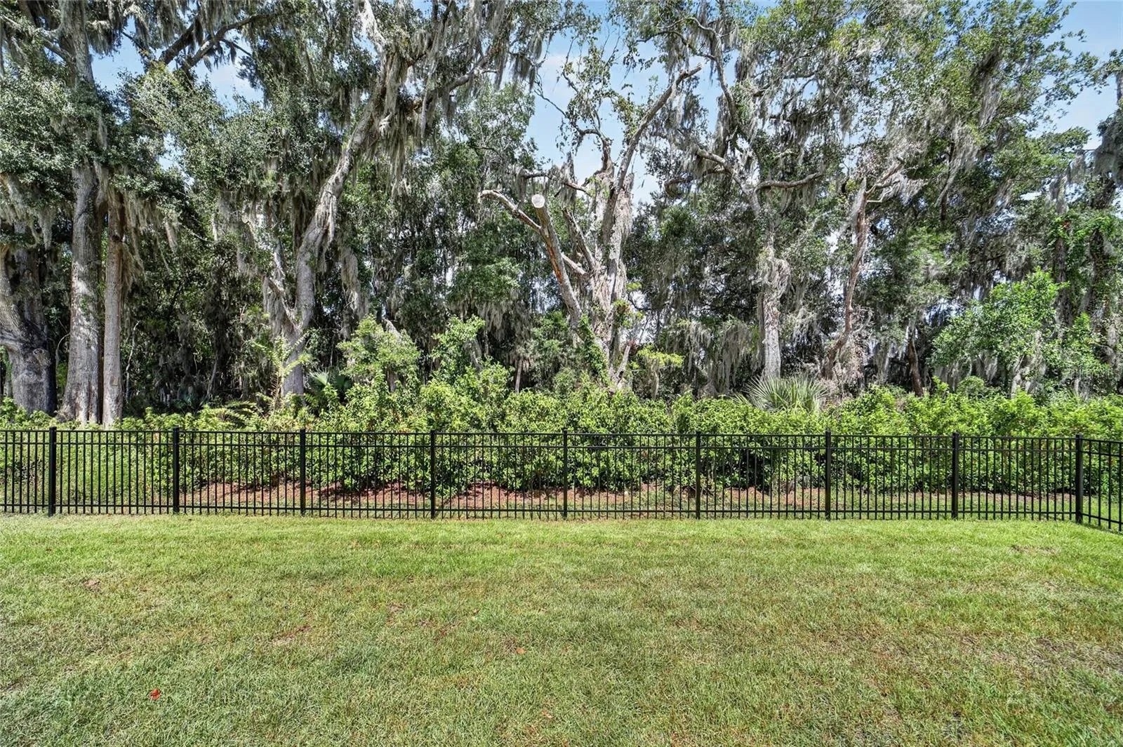 Private Back Yard