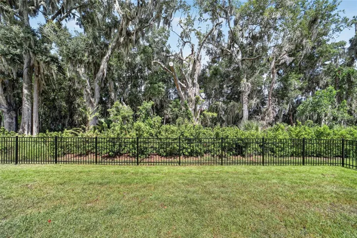 Private Back Yard
