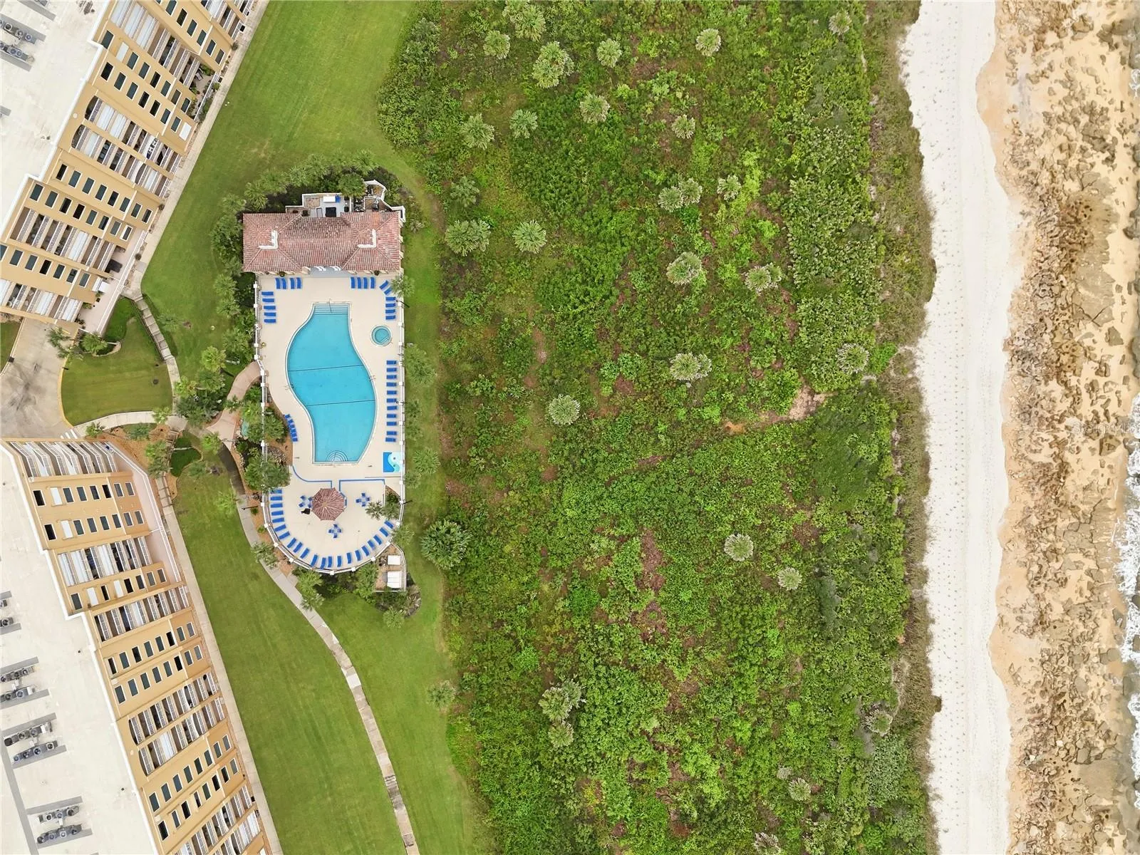 From above, the coastline reveals itself — pool, palms, and the ocean's edge