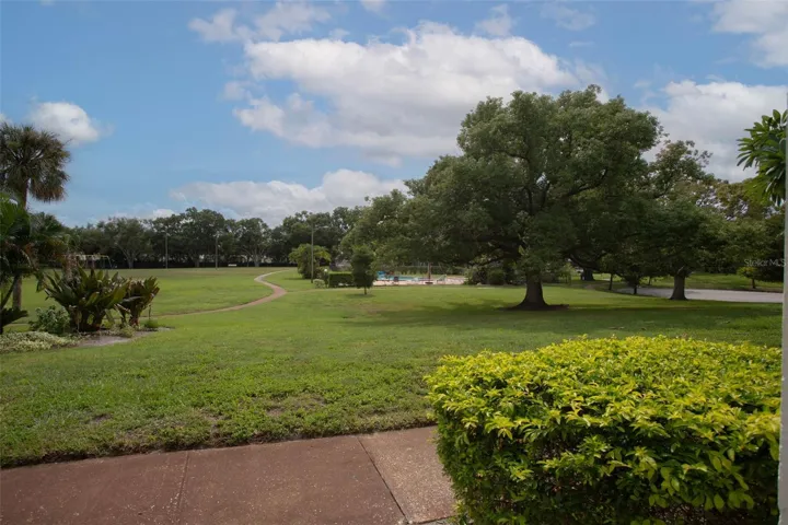 view from front porch