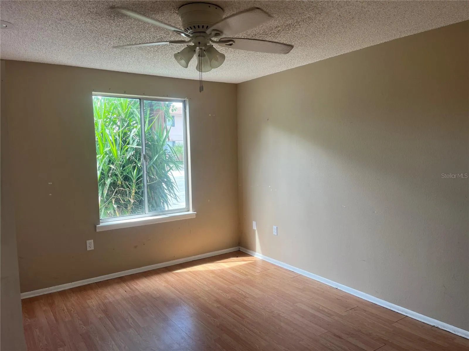 Downstairs Bedroom