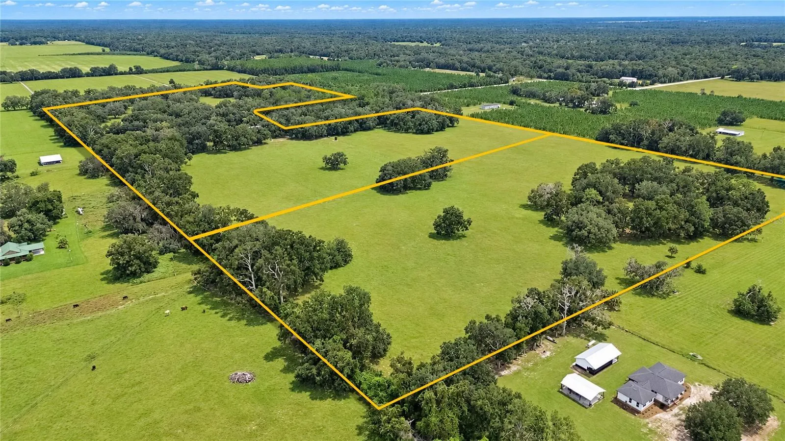 yellow lines are approximate boundary lines only