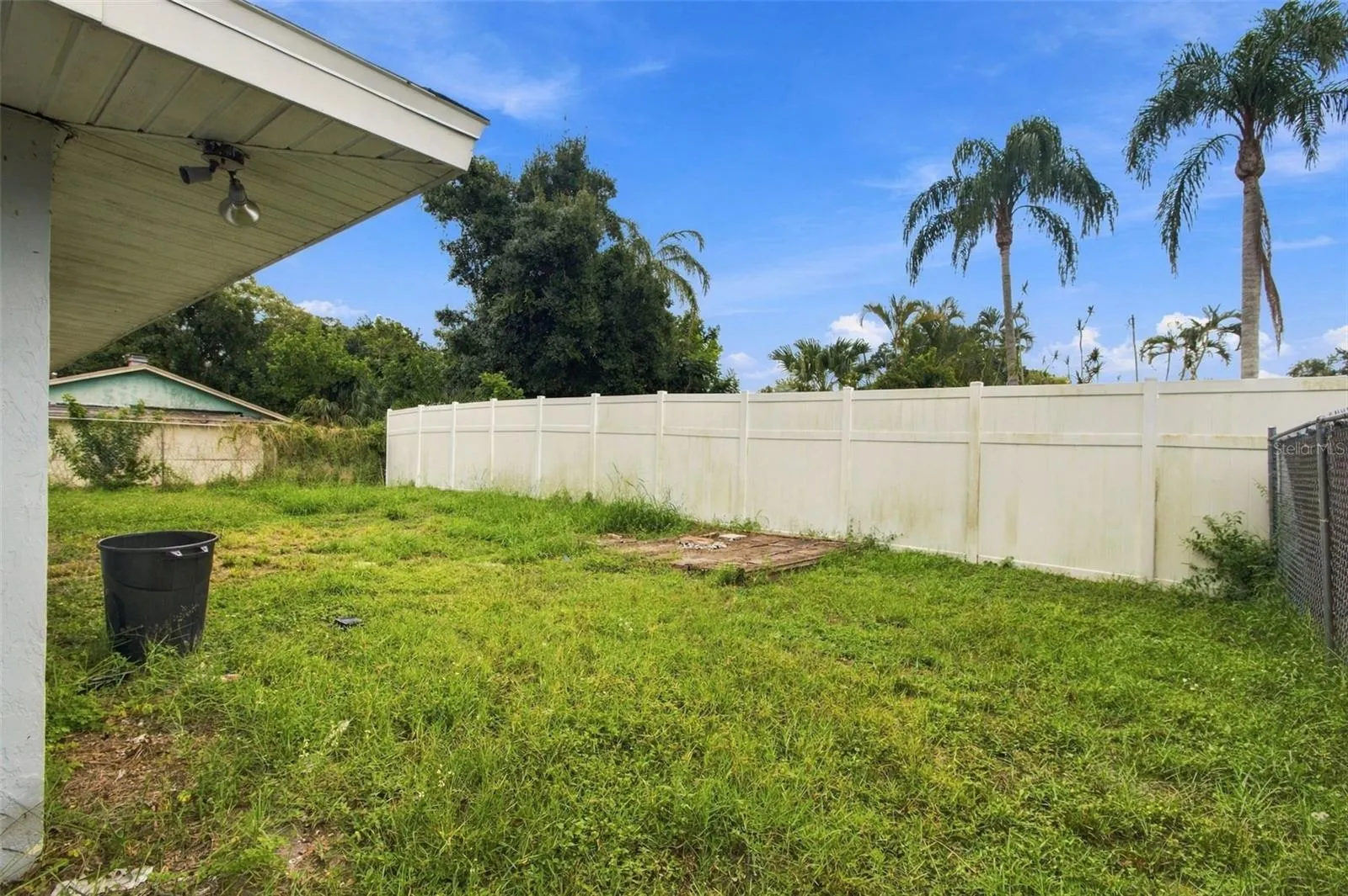 Backyard