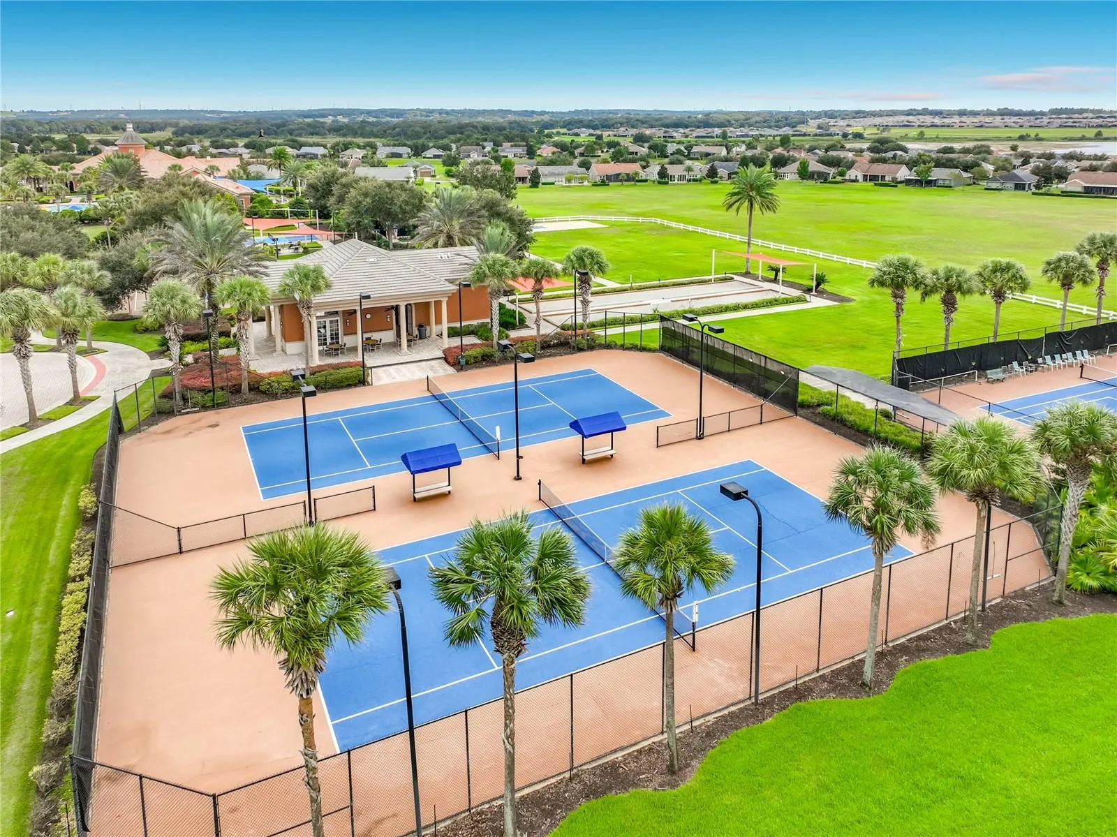 Tennis Anyone?