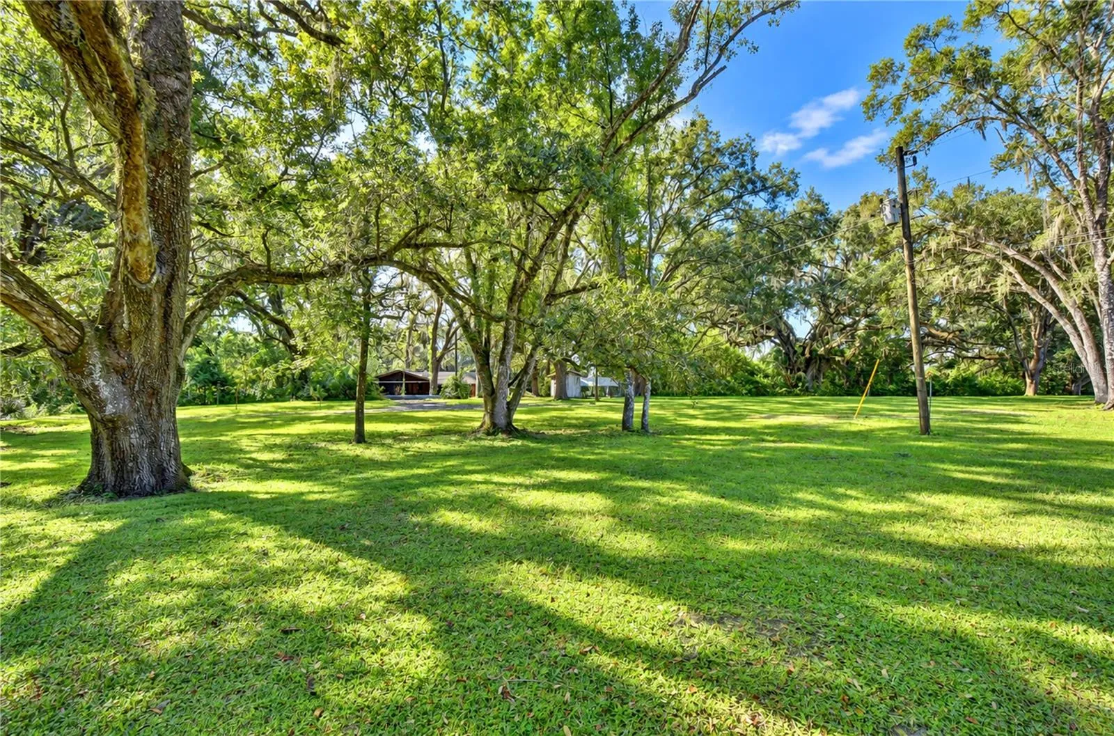 Private Backyard