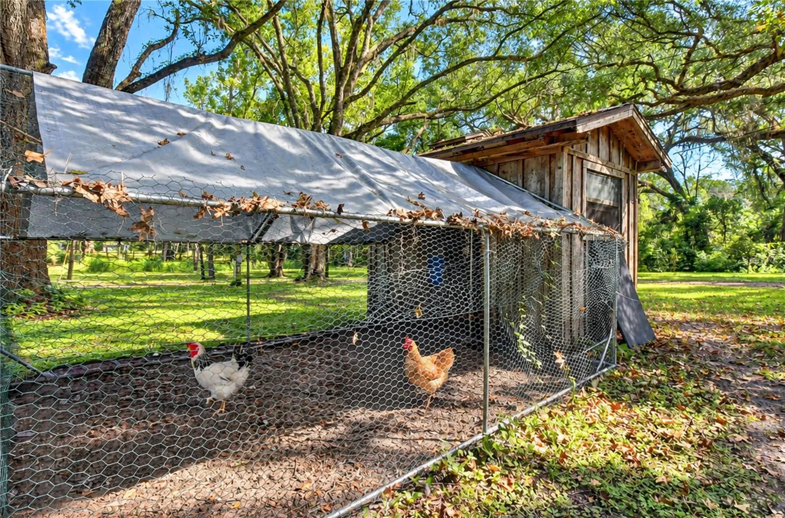 Chicken house